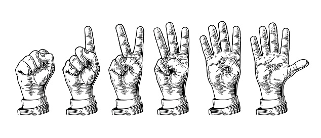 Set of gestures of hands counting from zero to five. Male Hand sign. Vector vintage engraved illustration isolated on white background.