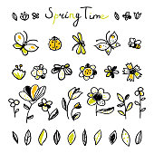 Set hand drawn floral, leaves and Insects elements. Spring collection. Cute collection of design elements, isolated on white background. Doodle floral elements