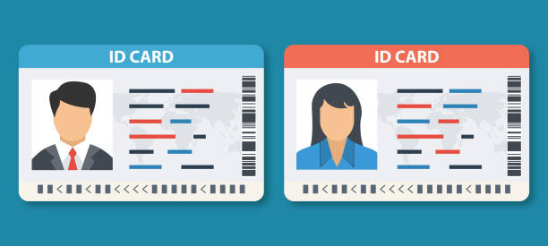 Set Id Card vector illustration. ID card or Car driver license with man and woman photo. Set Id Card vector illustration. ID card or Car driver license with man and woman photo. identity stock illustrations