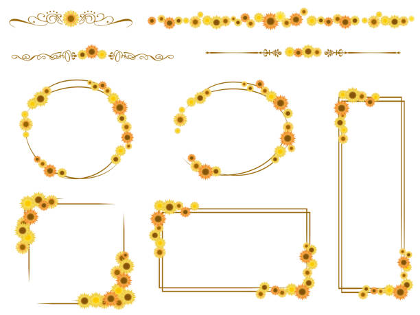 set illustration von verschiedenen rahmen von sonnenblumenblumen. - sonnenblume stock-grafiken, -clipart, -cartoons und -symbole