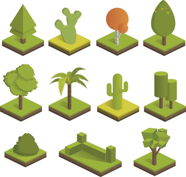 ilustrações, clipart, desenhos animados e ícones de conjunto de árvores 3d isométricas. grandes e pequenas árvores, arbusto, palmeira, cacto, abeto vermelho. ícones do vetor para mapas isométricos, jogos e seu projeto. - arvores 3d
