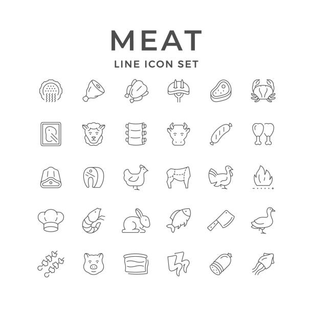 illustrazioni stock, clip art, cartoni animati e icone di tendenza di impostare le icone di linea della carne - macelleria