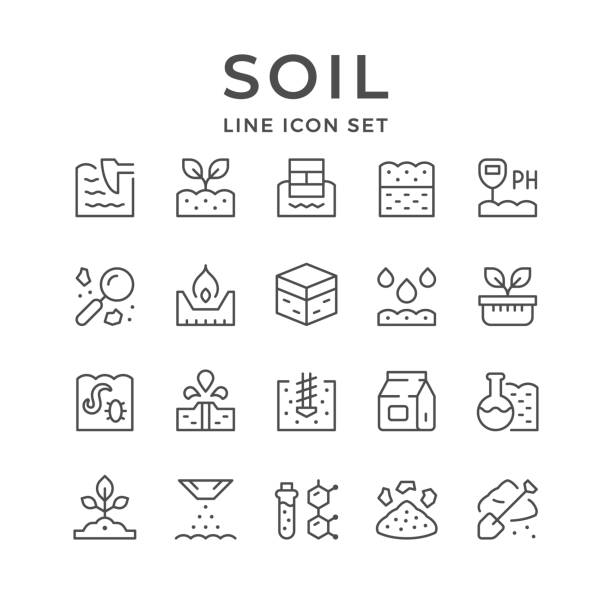 Set line icons of soil Set line icons of soil isolated on white. Vector illustration soil stock illustrations