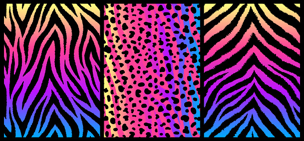 Set of 3 colorful exotic animal skin texture designs. Animalistic print backgrounds. Bright detailed fur posters.
