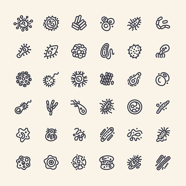 Set of 36 Icons with Bacteria and Germs Set of 36 Icons with Bacteria and Germs for Medical Design. Isolated on White Background. Clipping paths included in additional jpg format. Anthrax stock illustrations