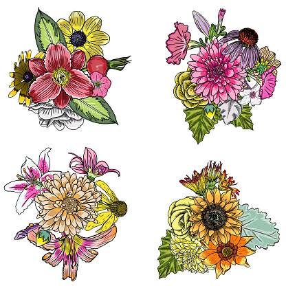 Set of 4 vintage floral vector bouquet of Petunia, Coneflower, Aster, Poppy, Chamomile, Rose and wild flowers, botanical Illustration. For summer floral greeting card, decorative bouquets, vector.