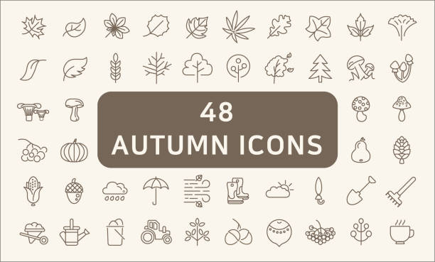 Set Of 48 Autunm Outline Icons Collection Of leaf, tree, mushroom And Other Elements. autumn icons stock illustrations