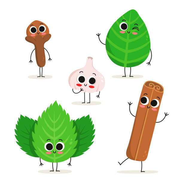 stockillustraties, clipart, cartoons en iconen met set van 5 leuke kruiden & specerijen stripfiguren geïsoleerd op wit: kruidnagel, kaneel, basilicum, knoflook en munt - basil plant