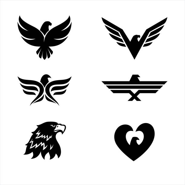 Set of 6 eagles Eagle illustration, vector icon bird symbols stock illustrations