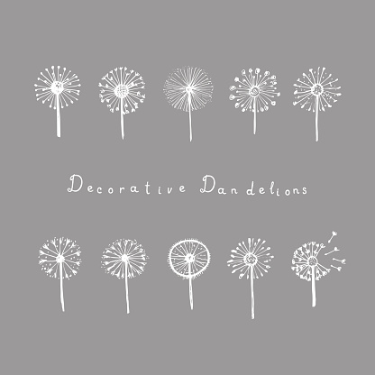 Set of abstract graphic doodle dandelions