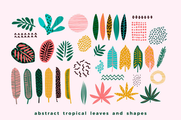 Set of abstract tropical leaves. Set of abstract tropical leaves. Vector design elements. tropical pattern stock illustrations