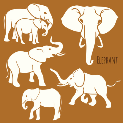 Set of African elephants in various poses.