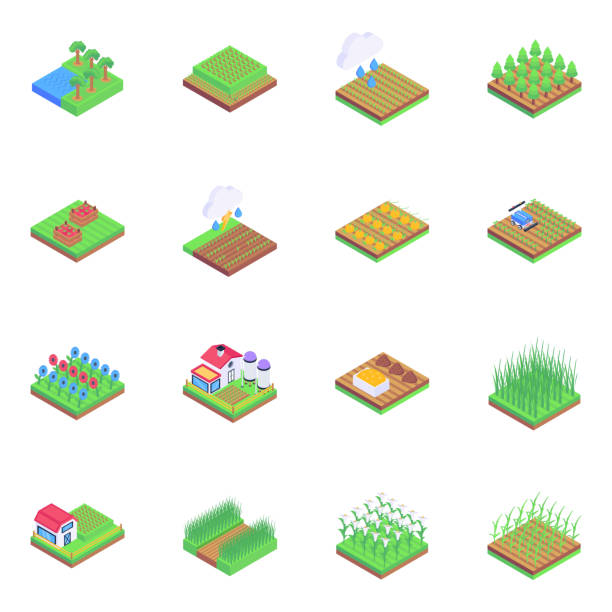 illustrations, cliparts, dessins animés et icônes de ensemble d’icônes de l’agriculture en isométrique - pluie jardin