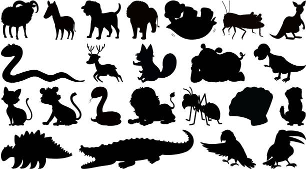 Set of animal character Set of animal character illustration ant clipart pictures stock illustrations