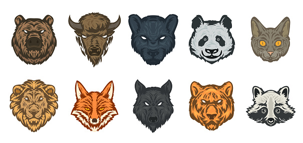 Set of animal head in hand drawn sketch color style isolated on white color. Bear, bison, panther, panda, cat, lion, fox, wolf, tiger, raccoon. Modern graphic design element. Vector illustration.