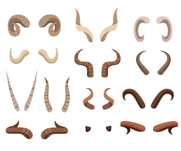 Set of animal horns. Horn icons. Horny hunting trophy of reindeer. Flat vector illustration isolated on white background Set of animal horns. Horn icons. Horny hunting trophy of reindeer. Flat vector illustration isolated on white background. horned stock illustrations