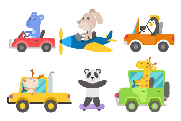 Set of animal with transport vector art illustration