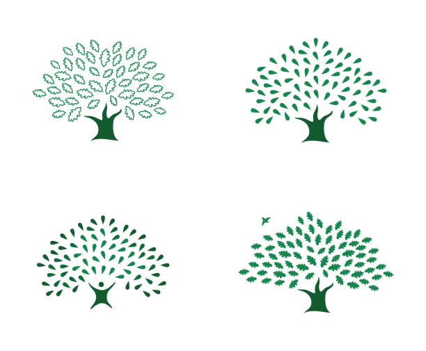 Set of beautiful four green oak tree logo identity vector art illustration