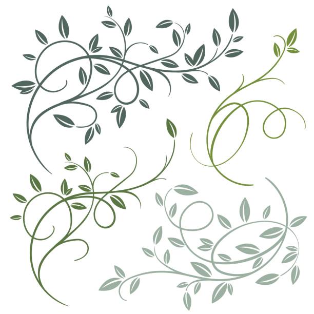Set of beautiful vector decorative branches with leaves Set of hand drawn vector vintage flourishes and spring tree branches isolated on white background. Decorative frame with branches and leaves. Retro swirl ornate garden decoration, border. For calligraphy style postcard, menu, wedding invitation, romantic graphic design. growth borders stock illustrations