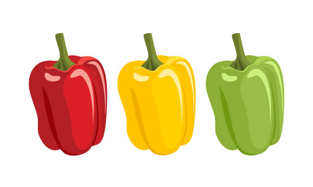 Set of bell peppers in different colors. Yellow, red and green fresh vegetable. Vector illustration in cartoon flat style. Food icon. Set of bell peppers in different colors. Yellow, red and green fresh vegetable. Vector illustration in cartoon flat style. Food icon. pepper vegetable stock illustrations