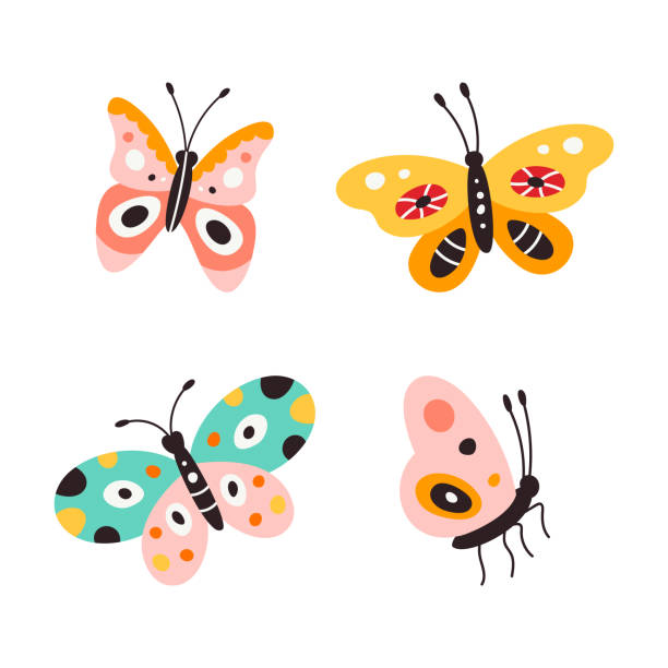 Set of butterflies, vector illustration isolated on white background Set of butterflies, vector illustration isolated on white background. pink monarch butterfly stock illustrations