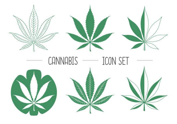 80 Marijuana Leaf Outline Illustrations Clip Art Istock This makes it suitable for many types of projects. 80 marijuana leaf outline illustrations clip art istock