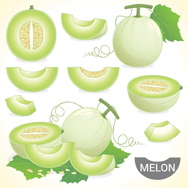 Melon honeydew What Is