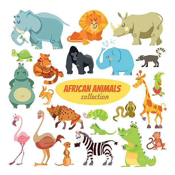 Set of cartoon african animals Big set of cartoon safari animals and birds:elephant,lion,rhino,turtle,tiger,gorilla,hippo,giraffe,ostrich,flamingo,alligator,zebra,monkey. Icon set isolated on white safari animals stock illustrations