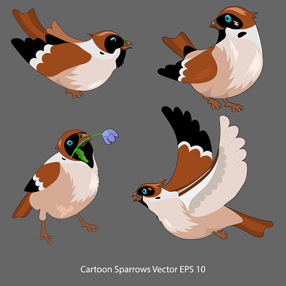 set of cartoon birds with flower, isolated.