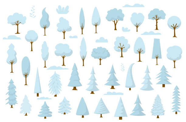 set of cartoon park and forest winter trees set of cartoon park and forest winter trees winter drawings stock illustrations