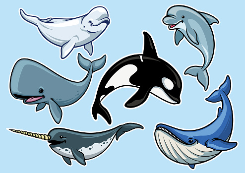 set of cheerful various of whales