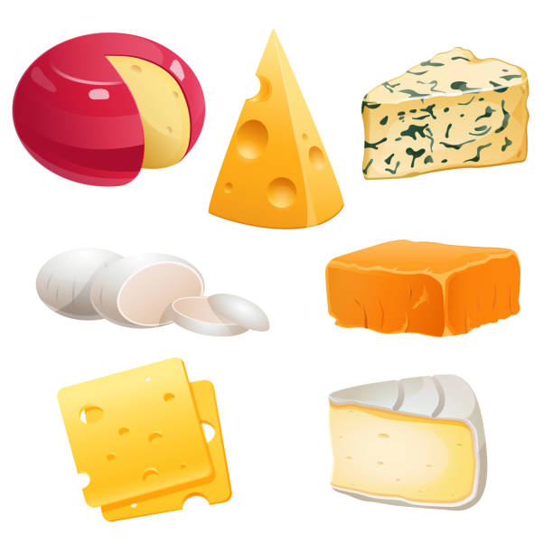 Set of cheese types roquefort, brie and maasdam Set of cheese types roquefort, brie and maasdam, mozzarella, gouda or parmesan. Dairy production, farm natural food whole and pieces isolated on white background Cartoon vector illustration, icons set muenster cheese stock illustrations