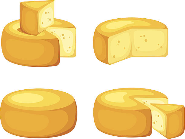 Set of cheeses. Vector illustration. Vector set of cheese wheels isolated on a white background. cheese clipart stock illustrations