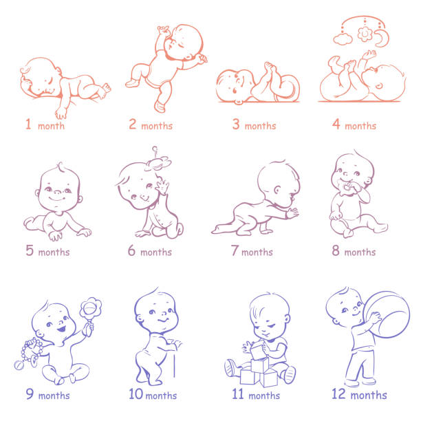Set of child health and development icons. Presentation of baby growth from newborn to toddler with text. First year. Cute boy or girl of 0-12 months. Vector color illustration. Design template. sleeping drawings stock illustrations