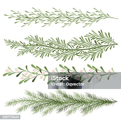 istock Set of christmas plants. Sprigs of mistletoe, coniferous branches. Long scenery. New year illustration 1287175624