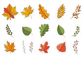 A set of colored doodles. Autumn, colorful leaves and twigs. Oak, maple, birch, chestnut. Botanical decorative elements with outline and fill. Color vector illustration isolated on a white background