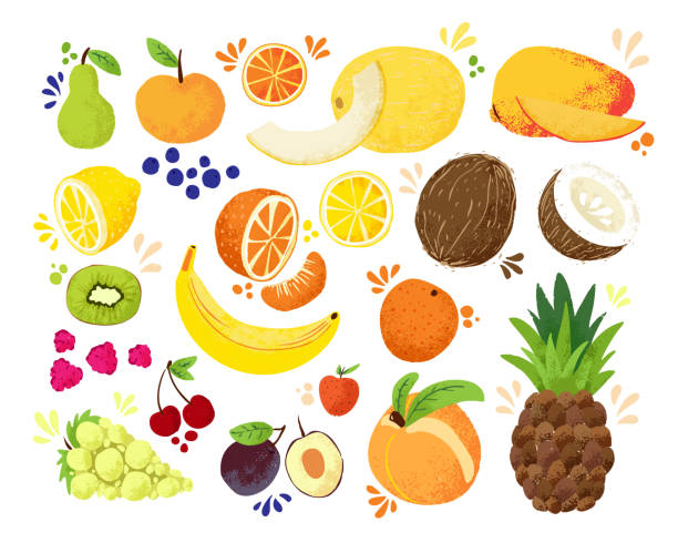 Set of colorful hand draw fruits tropical sweet fruits, and citrus fruit illustration. Apple, pear, orange, banana, pineapple, grapes, lemon, mango. Vector colored sketch illustration, isolated on white. Juicy Fruit and Berries Set of colorful hand draw fruits tropical sweet fruits, and citrus fruit illustration. Apple, pear, orange, banana, pineapple and other juicy fruits. Vector colored isolated sketch illustration banana clipart stock illustrations
