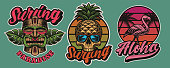 Set of colourful Hawaii surfing illustrations with tiki mask, skull, flamingo. These vector are perfect for logos, shirt prints and many other uses as well.