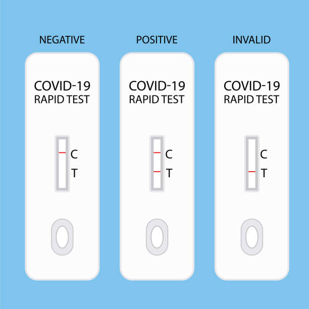 A Set Of Covid-19 Rapid Rapid Antigen Test Result Strips Showing Positive, Negative And Invalid Results vector art illustration