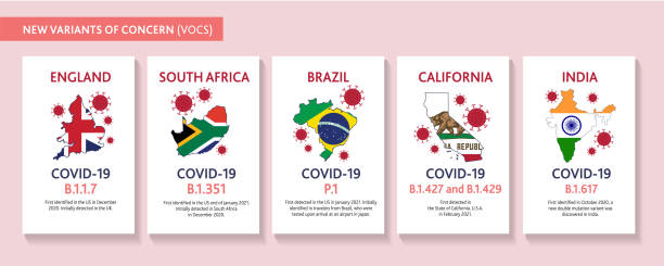 바이러스 돌연변이의 배치 텍스트 및 원산지 국가와 covid-19 variant 웹 배너 디자인 템플릿 세트 - south africa covid stock illustrations