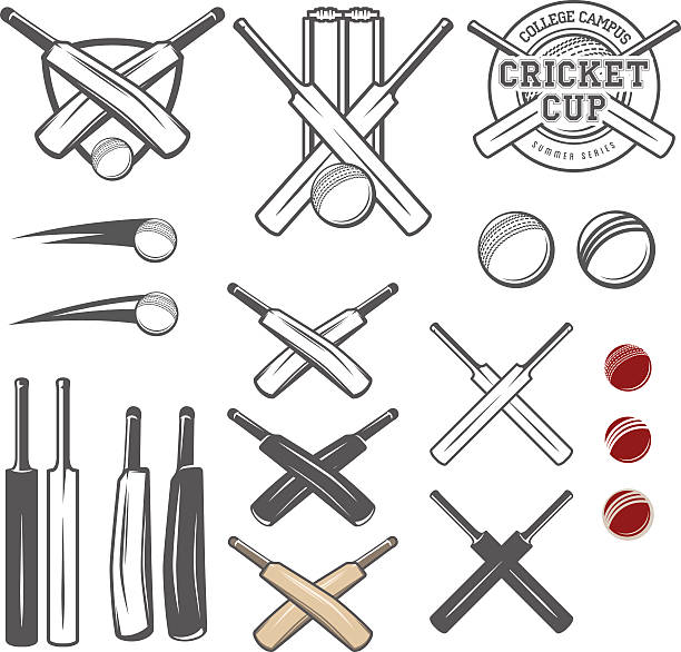 illustrazioni stock, clip art, cartoni animati e icone di tendenza di set di elementi di design emblema della squadra di cricket - pioli