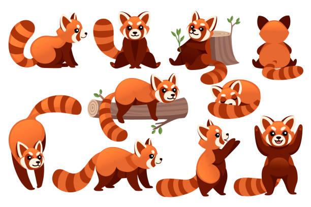 Cartoon red panda