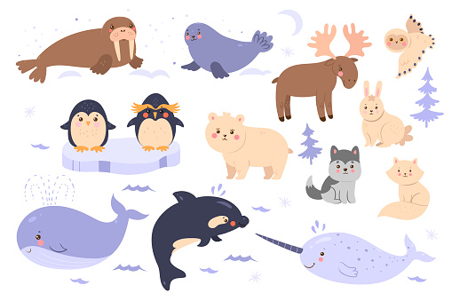 Set of cute animals of the arctic and antarctic isolated on white background. Vector graphics.