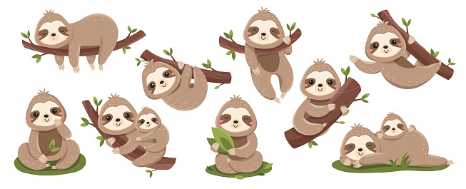 Set of cute baby sloths. Lazy wild animal lies on branch, climbs trees or eats green leaves. Design elements for stickers, social networks. Cartoon flat vector collection isolated on white background