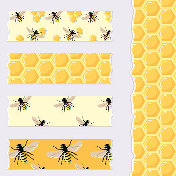 Set of cute bee and honey patterned Washi Tape strips Vector set of cute bee and honey patterned Washi Tape strips for scrapbook, decor, cards bee borders stock illustrations