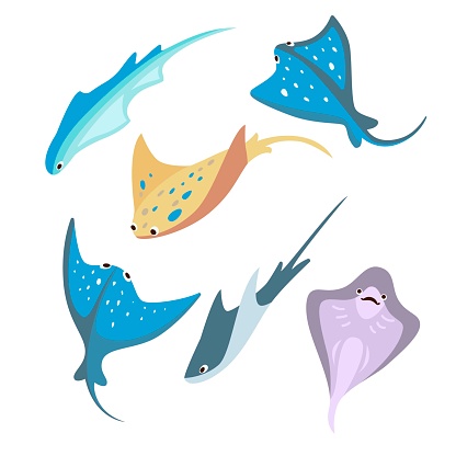 Set of cute colorful stingrays cartoon vector illustration