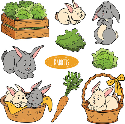 Set of cute farm animals and objects, vector family rabbit