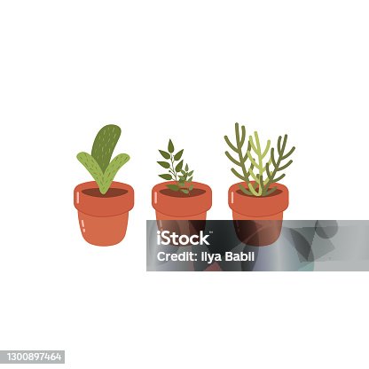 istock Set of cute flowerpots vector illustration in flat style 1300897464