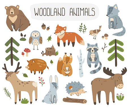 Set of cute forest animals and plants. Collection of vector woodland elements for childish design fabric, textile, wrapping, stationery.