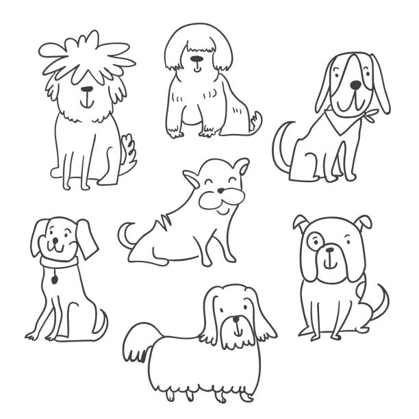 Set of cute handdrawn dogs illustrations isolated Set of cute handdrawn dogs line illustrations isolated on white. Cute sketchy dogs collection. Perfct for baby textile, tshirts, fabrics, stationary, posters, coloring books. dog drawings stock illustrations